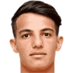 A. Hosseinzadeh