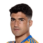 N. Ibáñez