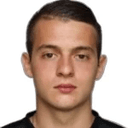 N. Mihajlović