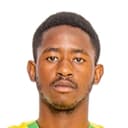 T. Buthelezi