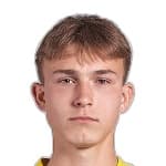 K. Vlaga