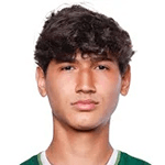 D. Ochoa