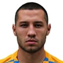 M. Mashnev