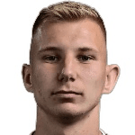 M. Hamzić