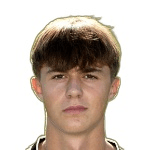 D. Zamagni
