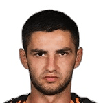 M. Shved