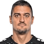 N. Nedić