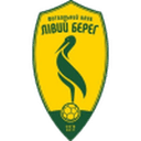 ليفاي بيريه