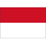 إندونيسيا تحت 19